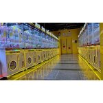 Arcade Crane Claw Machine Manufacturer - 220V Coin-Operated 1-Year Warranty for 6+ Year Old