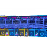 Toy Arcade Crane Claw Machine Manufacturer - All-Ages Fun Coin-Operated with 1 Year Warranty