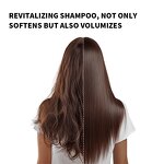 Shampoo Manufacturer - Hot Selling Zealmore Argan Oil for Men Women Strengthens Silky Hair