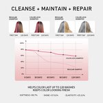 Shampoo Manufacturer - OEM & ODM Private Label Color Lock Anti-fade Professional Salon