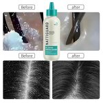 Pre-Shampoo Extract Manufacturer - Nattiguard High Demand Hydrating Oil-Control with Mint Oil Rosemary