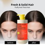 Shampoo Manufacturer - Wholesale Zealmore Daily Care Anti-Hair Loss Oil Control with Ginseng Ginger