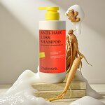 Shampoo Manufacturer - Hot Selling Zealmore Oil-water Balance with Ginseng Ginger Hair Loss Prevention