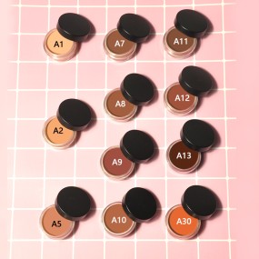 Cream Concealer Supplier - OEM Private Label Vegan Waterproof 21 Colors