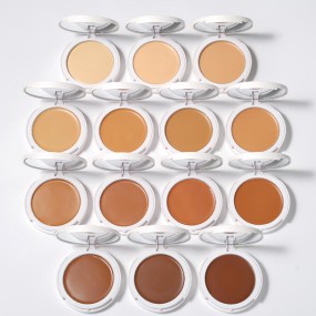 Foundation Palette Supplier - OEM Custom Vegan Cream Waterproof Powder