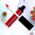 液体口红生产商-OEM裸色哑光雾面49色口红
