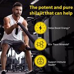 Gummy Manufacturer - Hot Selling Shilajit Resin Immune Support Organic Gummies