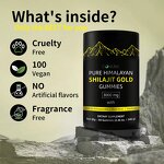 Gummy Manufacturer - OEM ODM Fast Shipping Shilajit Beauty Immune Energy 60-count