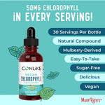 Liquid Drop Manufacturer - Wholesale Chlorophyll Peppermint Organic Vegan Overall Wellness