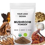Powder Manufacturer - 5 in 1 Organic Reishi Chaga Cordyceps Lion's Mane Turkey Tail