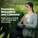 Gummy Manufacturer - Private Label Mullein Leaf Immune Lung Cleanse Natural