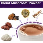 Powder Manufacturer - 5 in 1 Organic Reishi Chaga Cordyceps Lion's Mane Turkey Tail