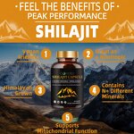 Capsule Manufacturer - Private Label Shilajit Vitamin Energy Immune COA Certified
