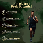 Shilajit Capsule Manufacturer - OEM Pure Shilajit Extract Humic Acid Himalaya Powder