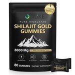 Gummy Manufacturer - Hot Selling Shilajit Resin Immune Support Organic Gummies