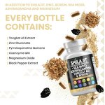 Capsule Manufacturer - OEM Sea Moss Shilajit Ashwagandha Turmeric Bladderwrack Burdock Ginger