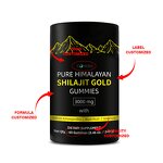 Gummy Manufacturer - OEM ODM Fast Shipping Shilajit Beauty Immune Energy 60-count