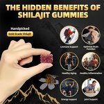 Gummy Manufacturer - Himalayan Shilajit Ashwagandha Immune Energy 60-count
