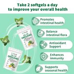 Softgel Capsule Manufacturer - Organic Oregano Extract Black Seed Oil Antioxidant Adult