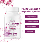Collagen Supplement Manufacturer - Multi-Collagen Peptides Type II III V Hyaluronic Acid