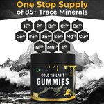 Gummy Manufacturer - Himalayan Shilajit Ashwagandha Immune Energy 60-count