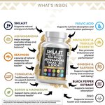 Capsule Manufacturer - OEM Sea Moss Shilajit Ashwagandha Turmeric Bladderwrack Burdock Ginger