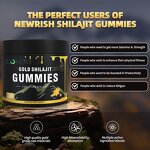 Gummy Manufacturer - Himalayan Shilajit Ashwagandha Immune Energy 60-count