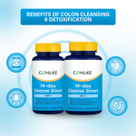 Liver Cleanse Capsule Manufacturer - Vanguard Herbal 80% Specification Energy Detox