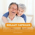 Capsule Manufacturer - Private Label Shilajit Vitamin Energy Immune COA Certified