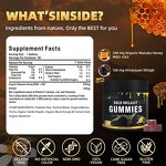 Gummy Manufacturer - Himalayan Shilajit Ashwagandha Immune Energy 60-count