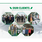 Powder Manufacturer - 5 in 1 Organic Reishi Chaga Cordyceps Lion's Mane Turkey Tail