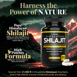 Shilajit Capsule Manufacturer - OEM Pure Shilajit Extract Humic Acid Himalaya Powder