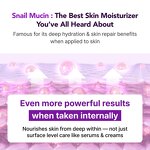 Weight Loss Supplement Manufacturer - OEM Organic Sugar-Free Slim Digestive Adult