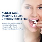 Sugar-Free Supplement Manufacturer - OEM Wholesale Sugar-Free Xylitol Gum Adult