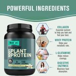 Protein Supplement Manufacturer - OEM Whey Protein Gluten-Free Adult Herbal
