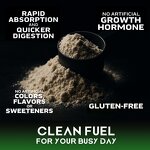 Weight Gain Supplement Manufacturer - OEM Private Factory Weight Gainer High Protein