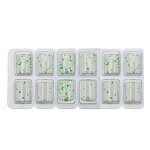 Weight Loss Supplement Manufacturer - Private Label Fat Burner Green Tea Women