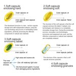 Collagen Supplement Manufacturer - OEM Double Layer Collagen Skin Care Softgel