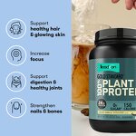 Protein Supplement Manufacturer - OEM Whey Protein Gluten-Free Adult Herbal