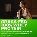 Weight Gain Supplement Manufacturer - OEM Private Factory Weight Gainer High Protein