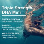 Omega-3 Supplement Manufacturer - Sugar-Free Omega 3 DHA Brain Vision Adult