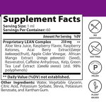 Herbal Supplement Manufacturer - Wholesale Moringa Immune Digestive Adult Herbal