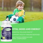 Antioxidant Supplement Manufacturer - OEM Wholesale CoQ10 Blood Brain Adult Herbal