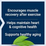 Protein Supplement Manufacturer - OEM High-Protein Whey Adult Fitness Herbal