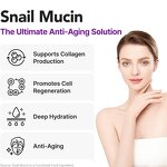 Weight Loss Supplement Manufacturer - OEM Organic Sugar-Free Slim Digestive Adult