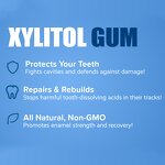 Sugar-Free Supplement Manufacturer - OEM Wholesale Sugar-Free Xylitol Gum Adult