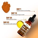 Skincare Supplement Manufacturer - OEM Private Label Moringa Extract Energy Adult