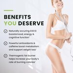 Weight Loss Capsules Factory - In Stock Belly Fat Burner Detox Loss Fat Herbal