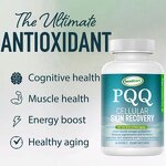 Collagen Supplement Manufacturer - Wholesale Vegetarian Hair Growth Energy Adult