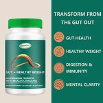 Weight Loss Capsules Factory - Hot Selling Metabolism Gut Health Slimming